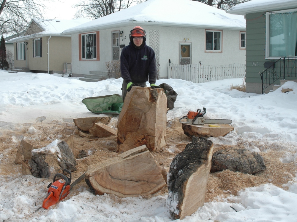 Cutting Up the Burl